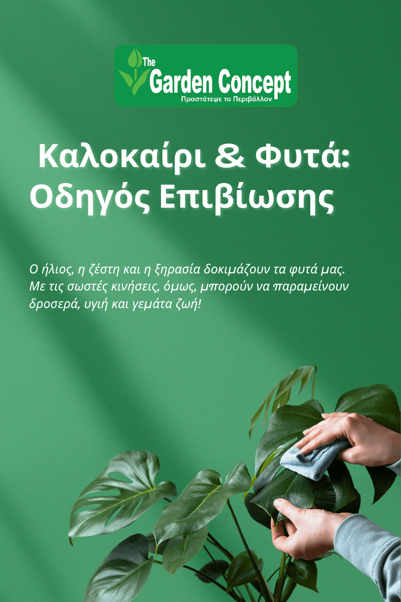 🌿 Πώς να Προστατέψετε τα Φυτά σας από τη Ζέστη του&nbsp;Καλοκαιριού